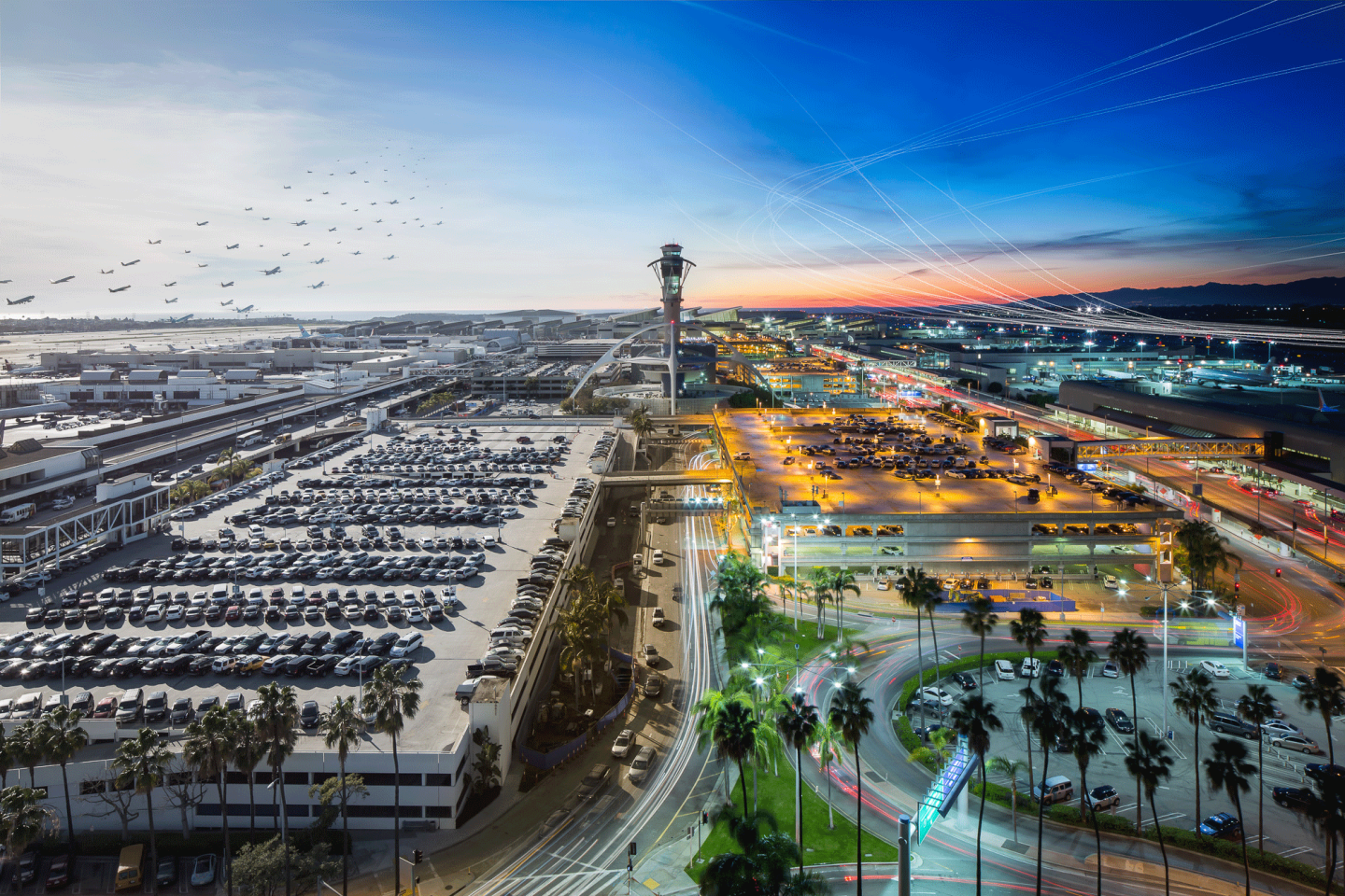LAX Overview